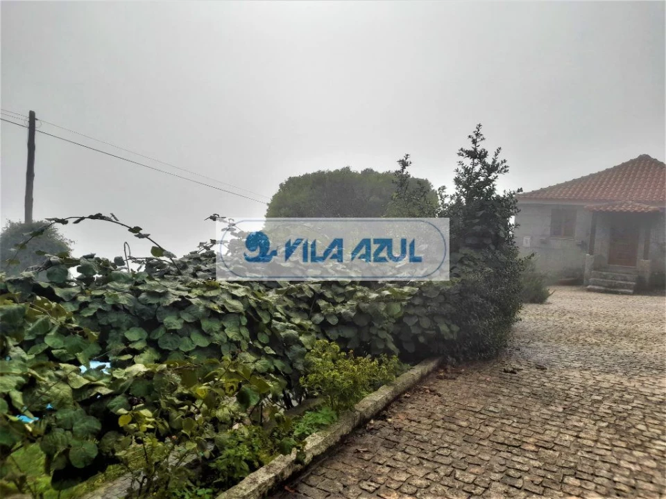 Quinta T3 para Venda em Santa Cruz do Douro e São Tomé de Covelas Foto 16