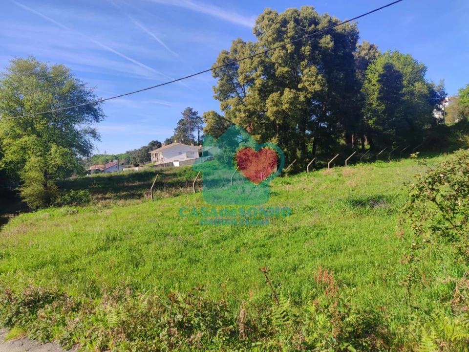 Terreno para Venda em Pinheiro da Bemposta, Travanca e Palmaz Foto 1