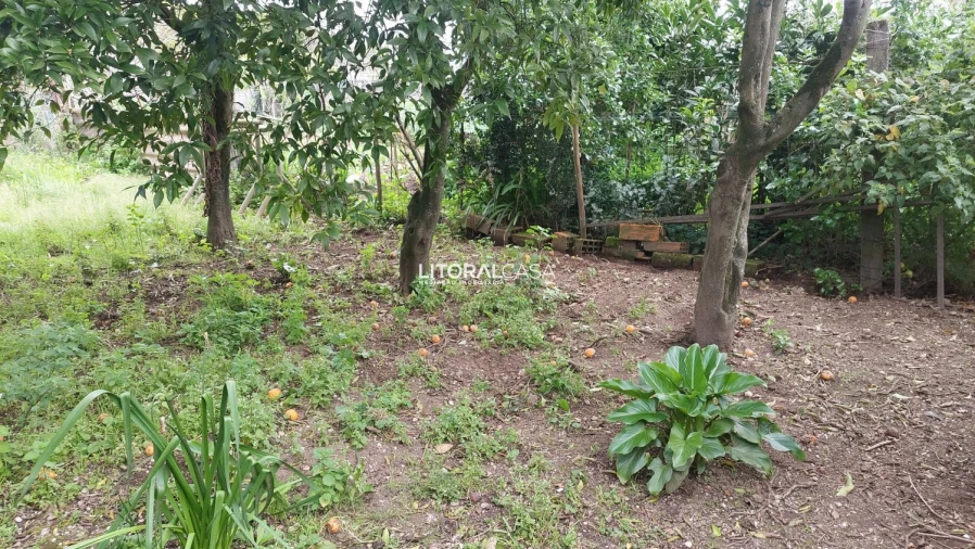 Moradia T2 para Venda em Cacia Foto 11