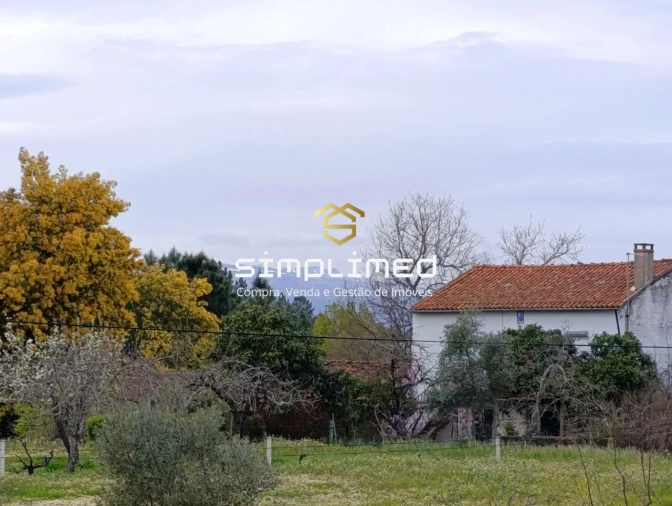 Terreno para Venda em Enxames Foto 4