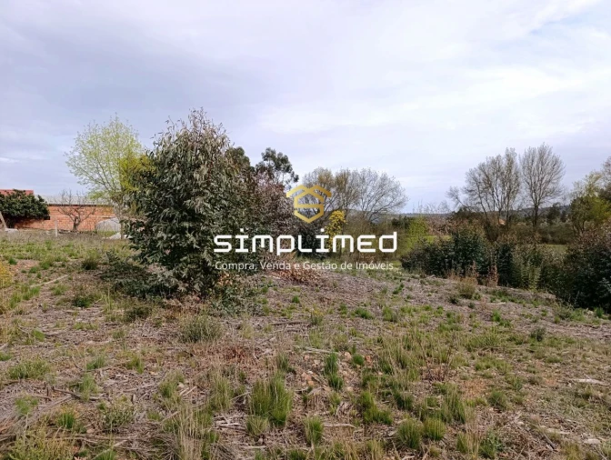 Terreno para Venda em Enxames Foto 20