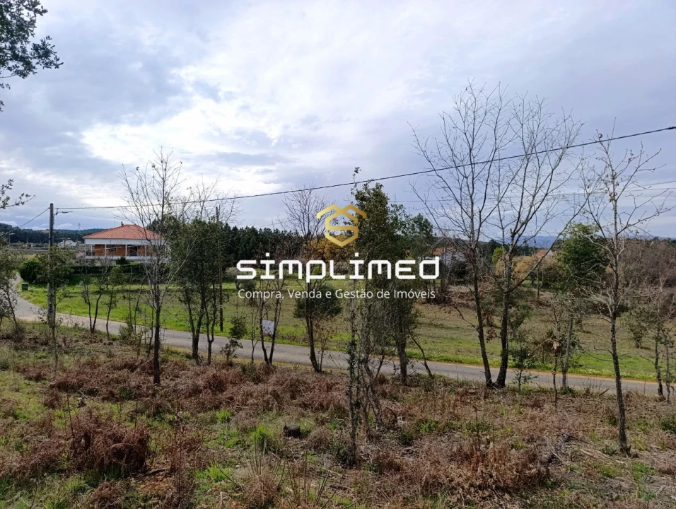 Terreno para Venda em Enxames Foto 3