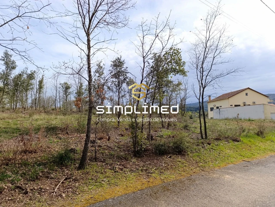 Terreno para Venda em Enxames Foto 25