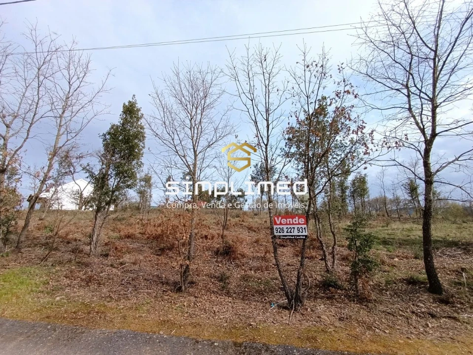 Terreno para Venda em Enxames Foto 24