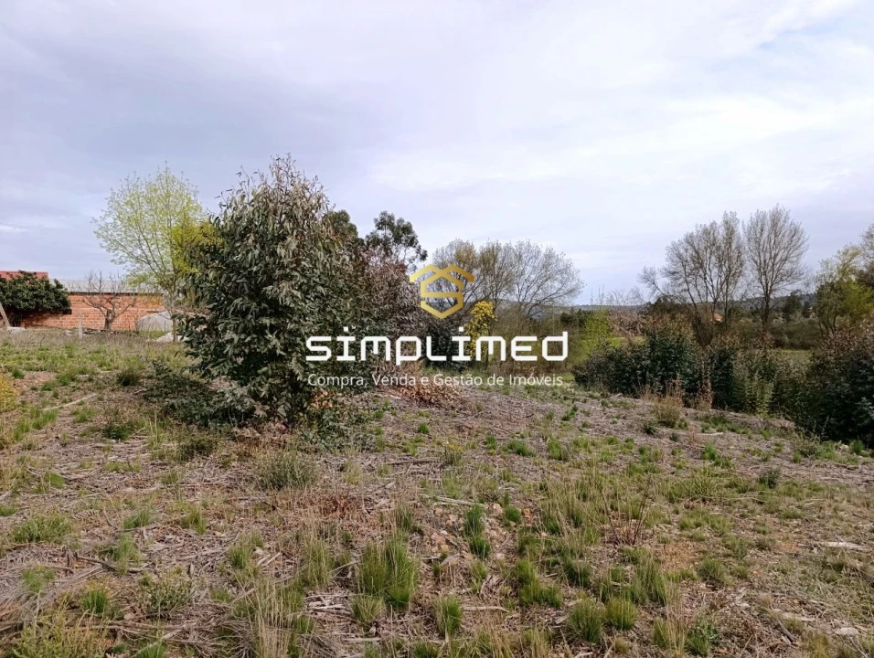 Terreno para Venda em Enxames Foto 20