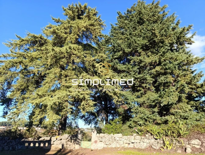 Quinta T2 para Venda em Belmonte e Colmeal da Torre Foto 8