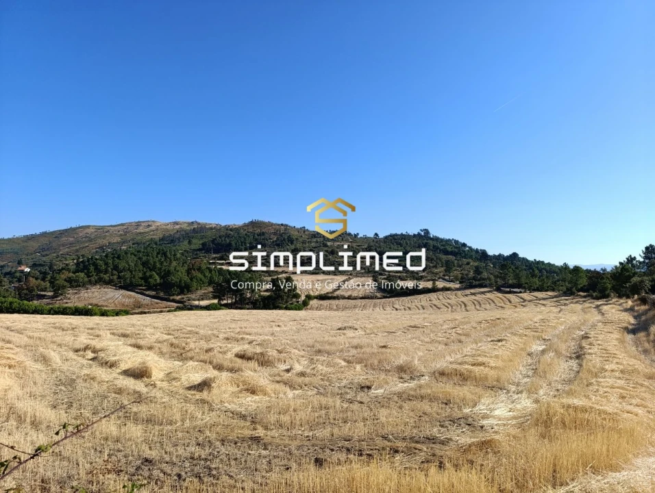 Quinta T0 para Venda em Orjais Foto 24