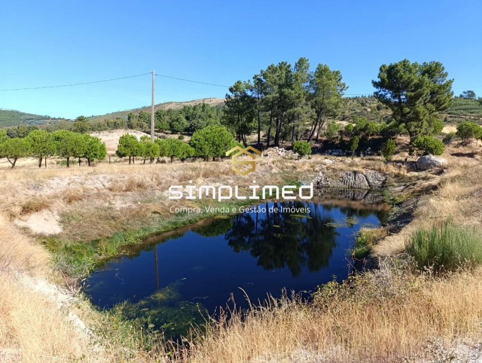 Quinta T0 para Venda em Orjais Foto 19