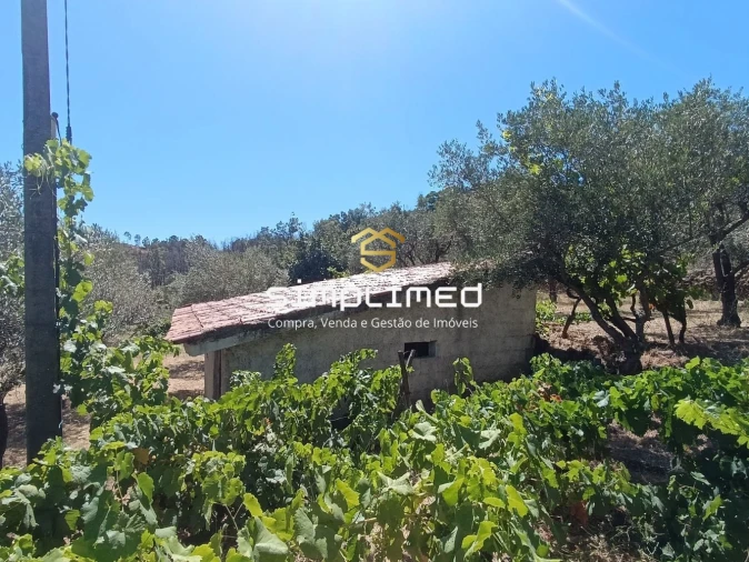 Quinta T2 para Venda em Orjais Foto 42