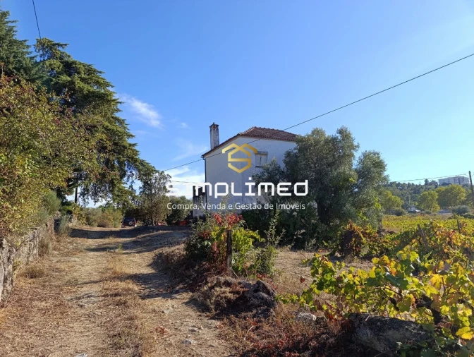 Quinta T1 para Venda em Belmonte e Colmeal da Torre Foto 31