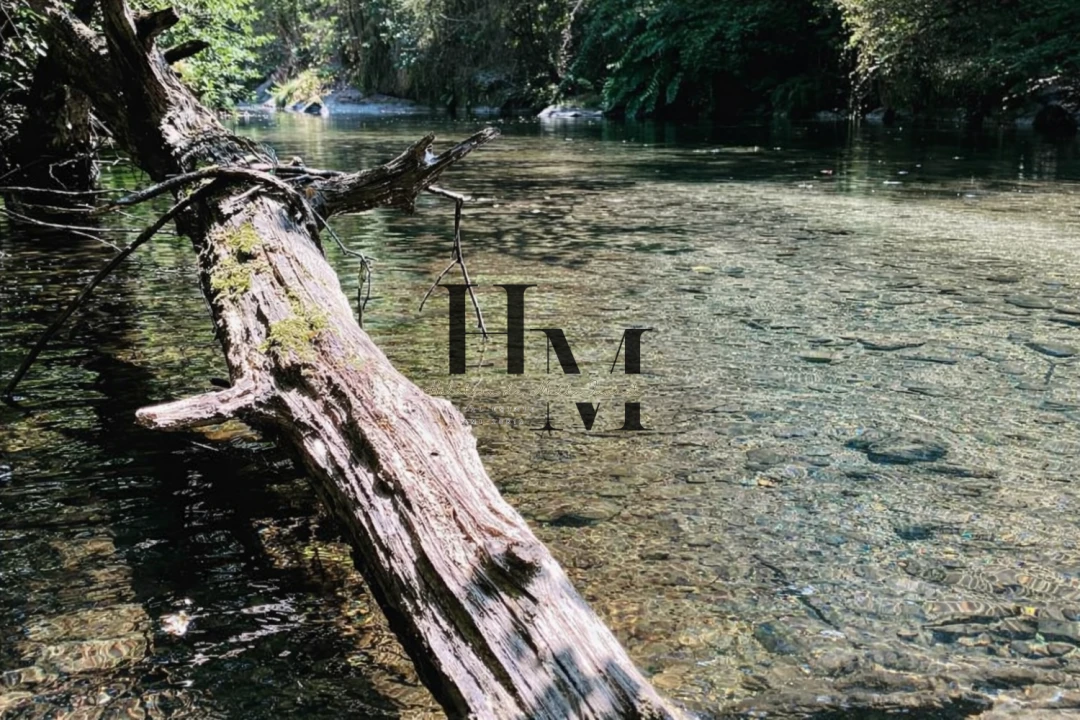 Moradia T3 para Venda em Aboadela, Sanche e Várzea Foto 32