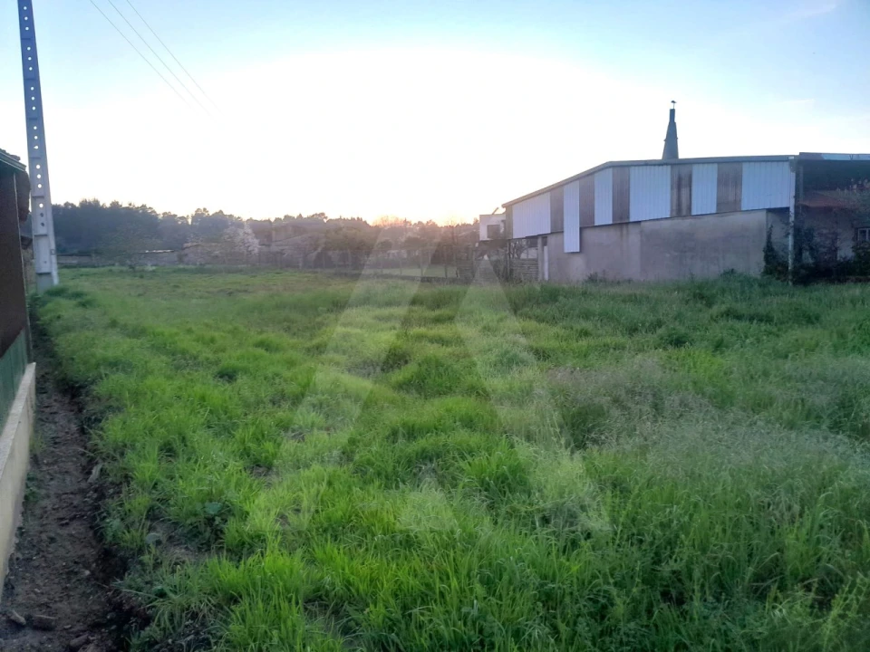 Terreno para Venda em Oiã Foto 4