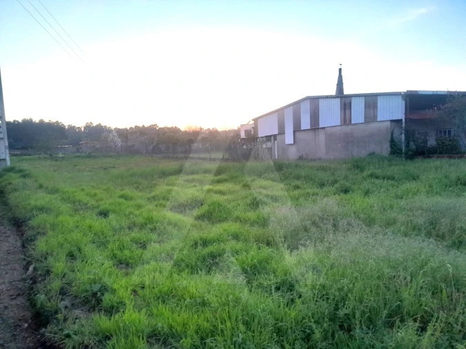 Terreno para Venda em Oiã Foto 2