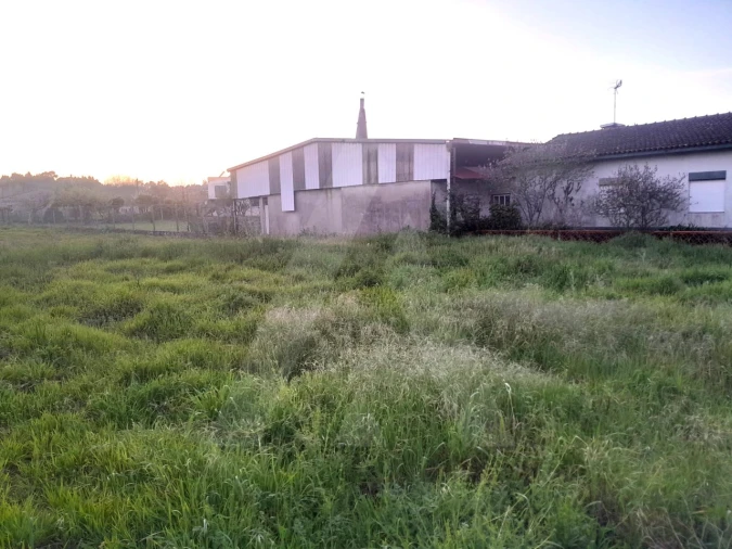 Terreno para Venda em Oiã Foto 3