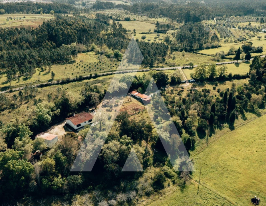 Moradia T2 para Venda em Vacariça Foto 19