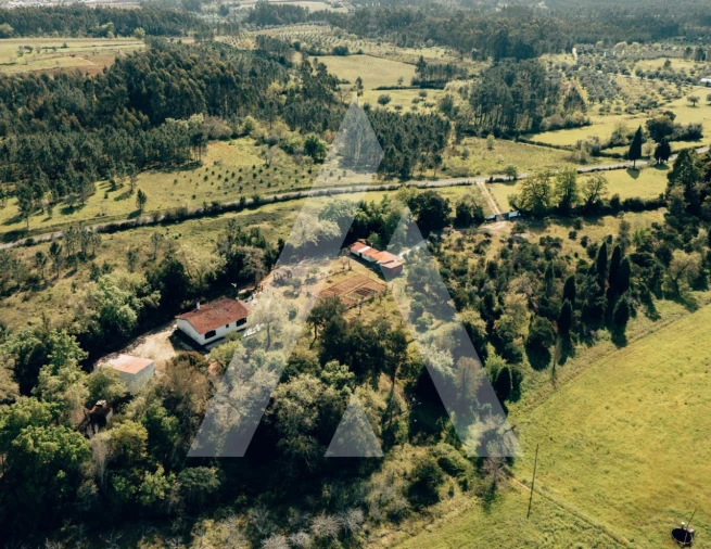 Moradia T2 para Venda em Vacariça Foto 19