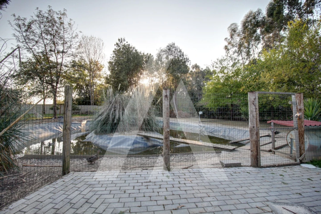 Moradia T4 para Venda em Bustos, Troviscal e Mamarrosa Foto 55