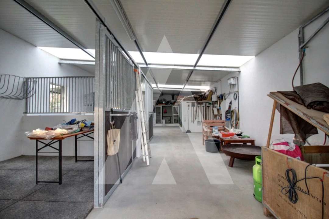 Moradia T4 para Venda em Bustos, Troviscal e Mamarrosa Foto 56