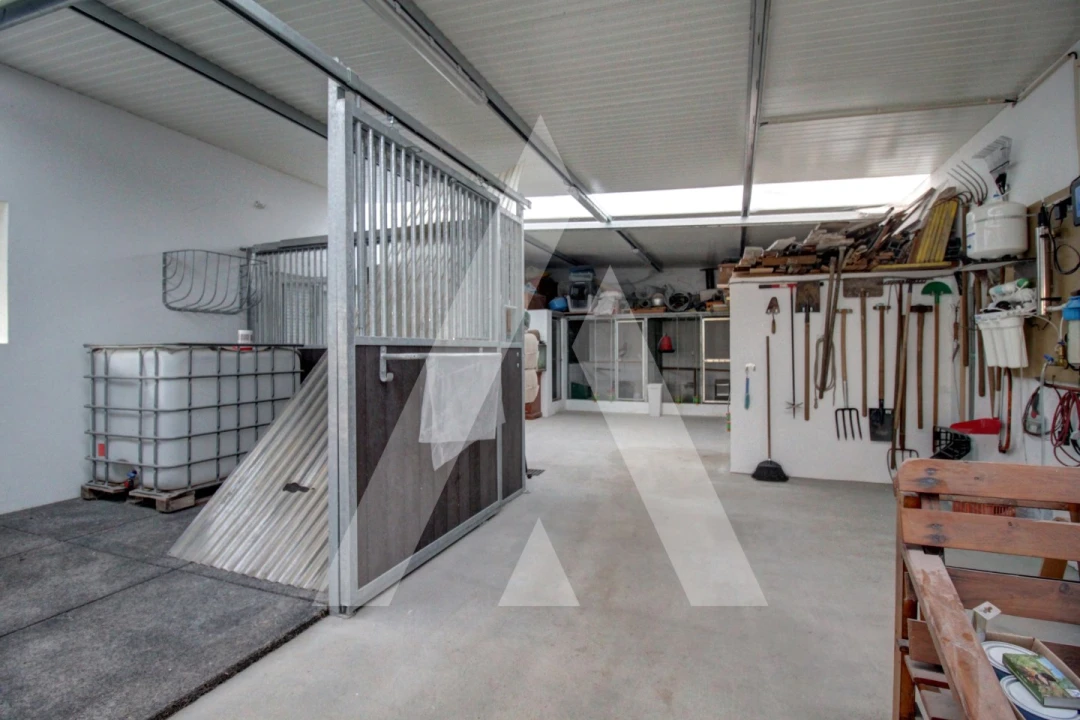 Moradia T4 para Venda em Bustos, Troviscal e Mamarrosa Foto 58