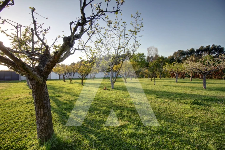 Moradia T4 para Venda em Bustos, Troviscal e Mamarrosa Foto 50