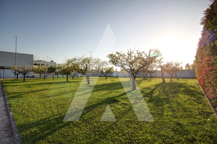 Moradia T4 para Venda em Bustos, Troviscal e Mamarrosa Foto 49