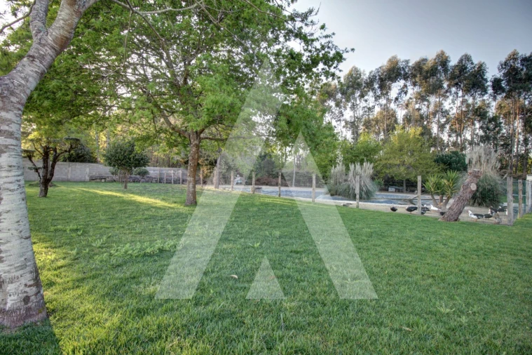 Moradia T4 para Venda em Bustos, Troviscal e Mamarrosa Foto 53