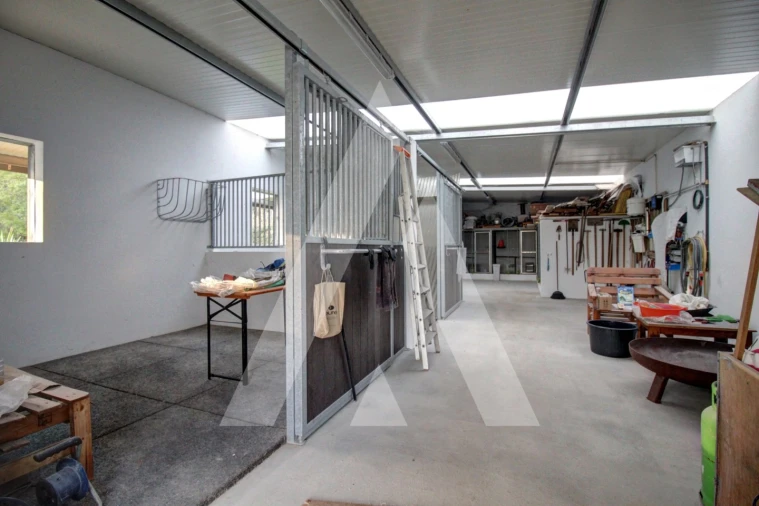 Moradia T4 para Venda em Bustos, Troviscal e Mamarrosa Foto 57