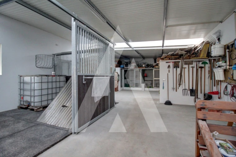 Moradia T4 para Venda em Bustos, Troviscal e Mamarrosa Foto 58