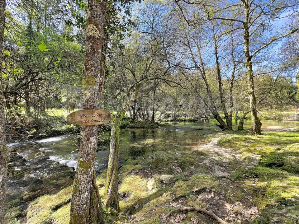 Moradia T5 para Venda em Gondar e Orbacém Foto 42