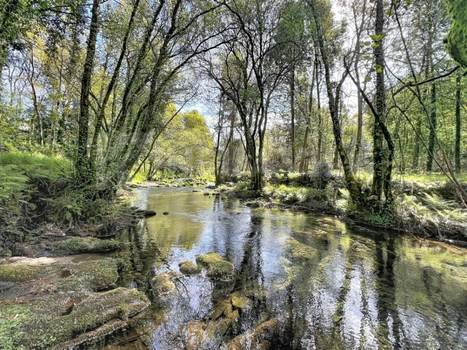 Moradia T5 para Venda em Gondar e Orbacém Foto 43