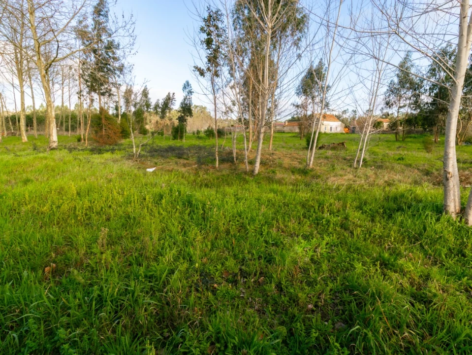 Moradia T2 para Venda em Tocha Foto 18