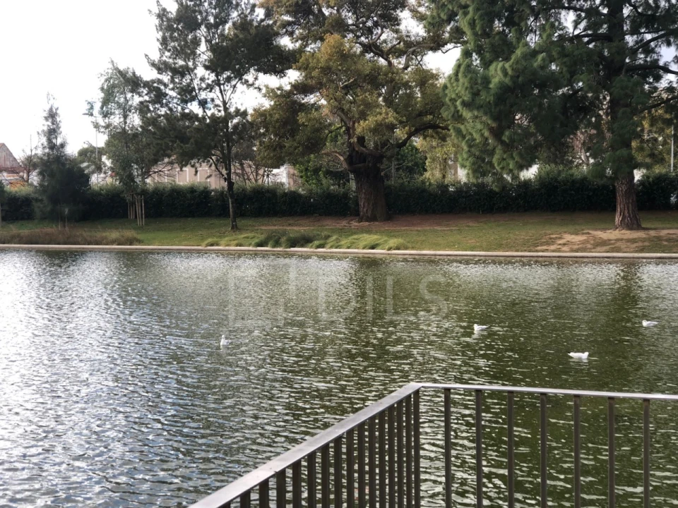 Apartamento T3 para Venda em Alvalade Foto 19