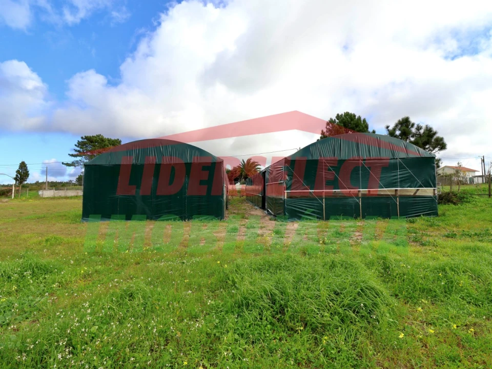 Terreno Agricola ou Rústico para Venda em Silveira Foto 2