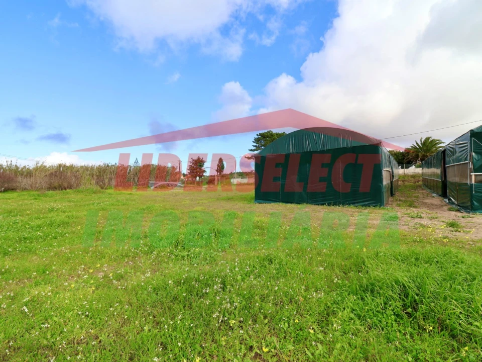 Terreno Agricola ou Rústico para Venda em Silveira Foto 10