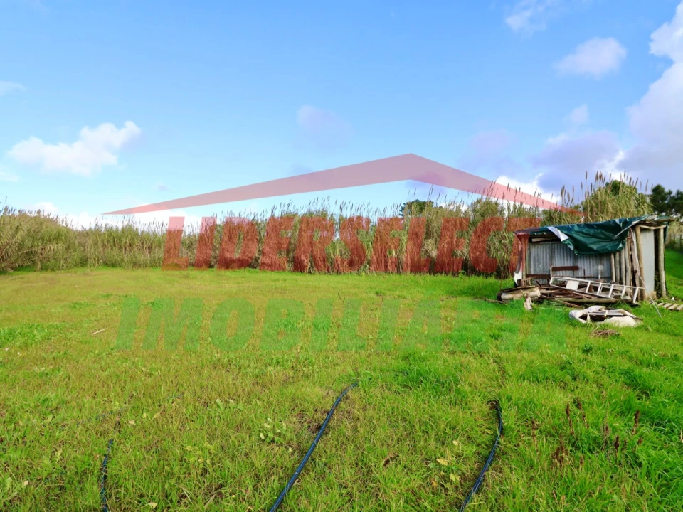 Terreno Agricola ou Rústico para Venda em Silveira Foto 13