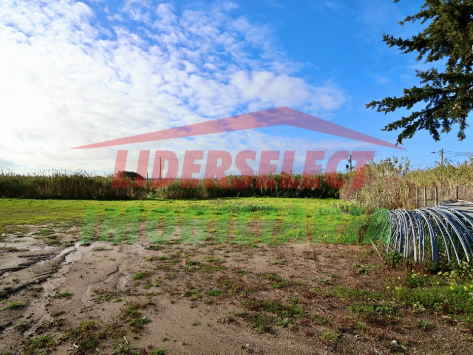 Terreno Agricola ou Rústico para Venda em Silveira Foto 14