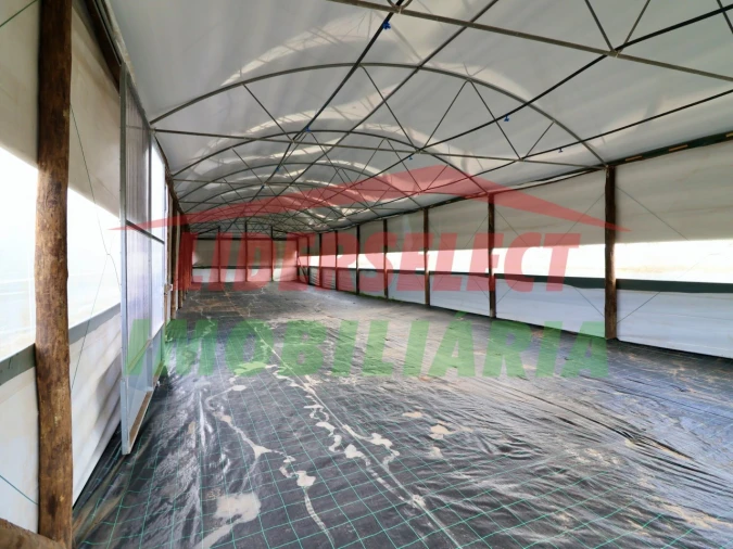 Terreno Agricola ou Rústico para Venda em Silveira Foto 8