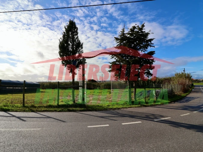 Terreno Agricola ou Rústico para Venda em Silveira Foto 17