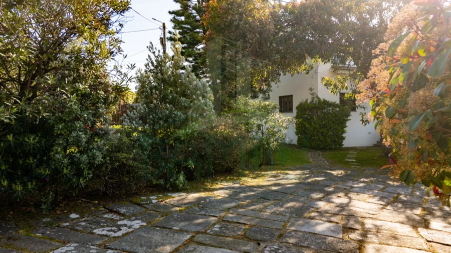 Moradia T4 para Venda em Moledo e Cristelo Foto 8