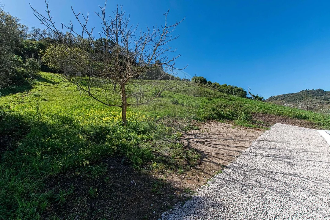Armazém para Venda em Meca Foto 8