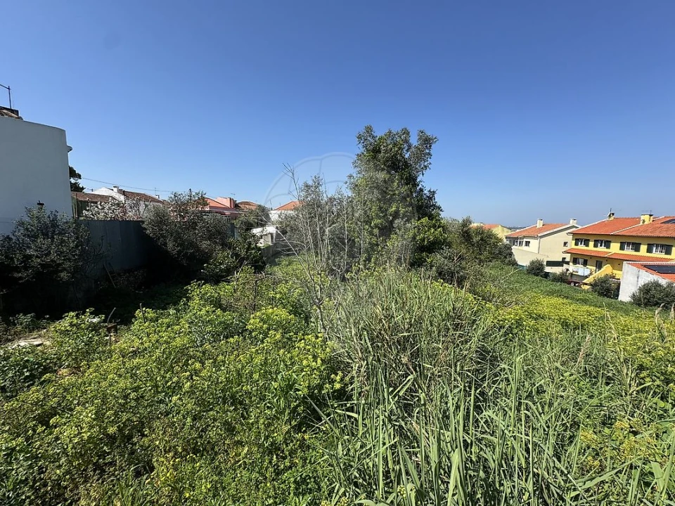 Terreno para Venda em Almargem do Bispo, Pêro Pinheiro e Montelavar Foto 9
