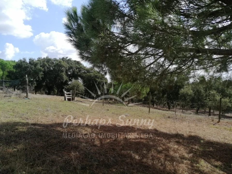 Terreno Misto para Venda em Santiago do Cacém, Santa Cruz e São Bartolomeu da Serra Foto 16