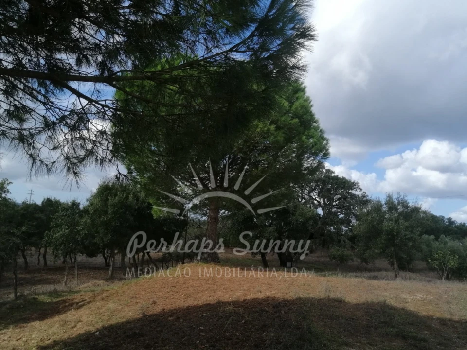 Terreno Misto para Venda em Santiago do Cacém, Santa Cruz e São Bartolomeu da Serra Foto 19