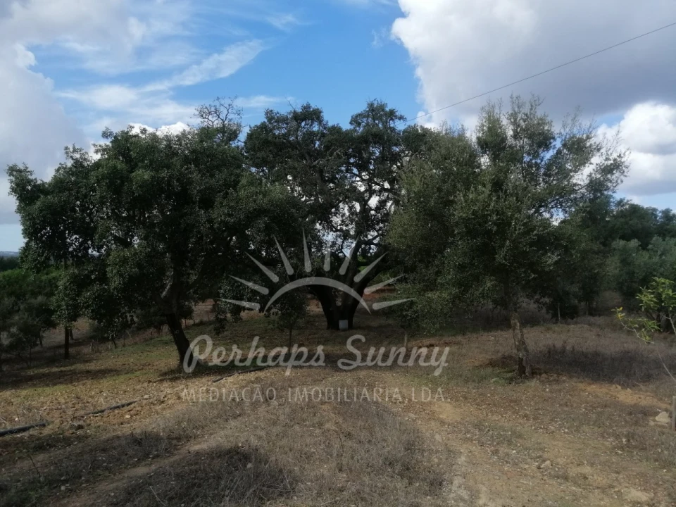 Terreno Misto para Venda em Santiago do Cacém, Santa Cruz e São Bartolomeu da Serra Foto 22