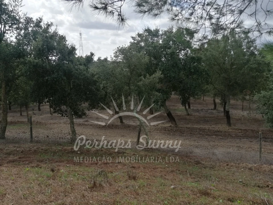 Terreno Misto para Venda em Santiago do Cacém, Santa Cruz e São Bartolomeu da Serra Foto 24