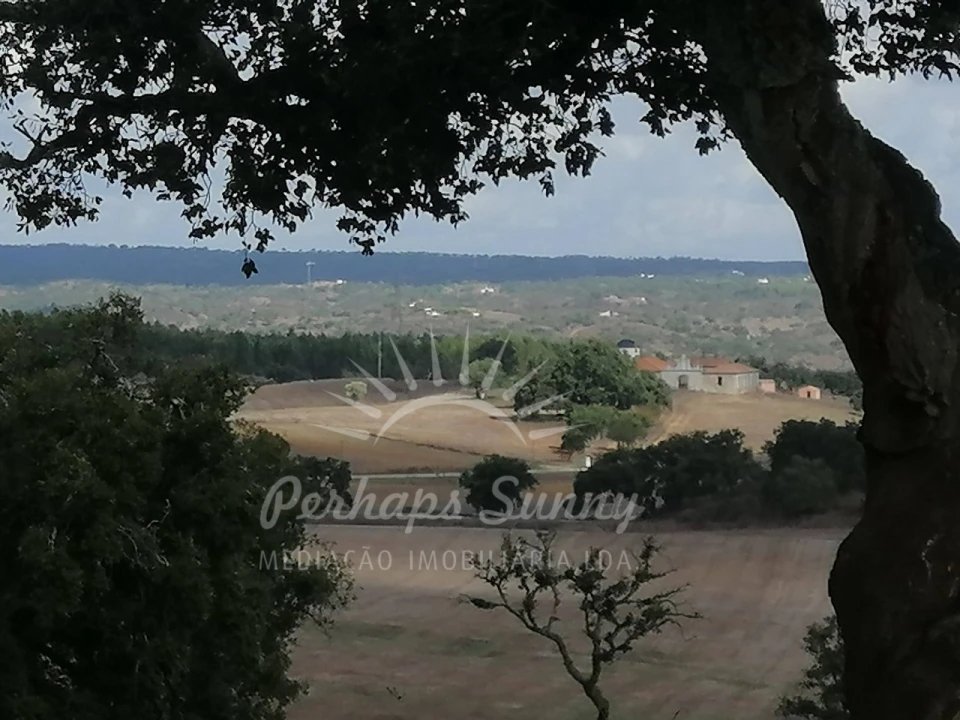 Terreno Misto para Venda em Santiago do Cacém, Santa Cruz e São Bartolomeu da Serra Foto 26