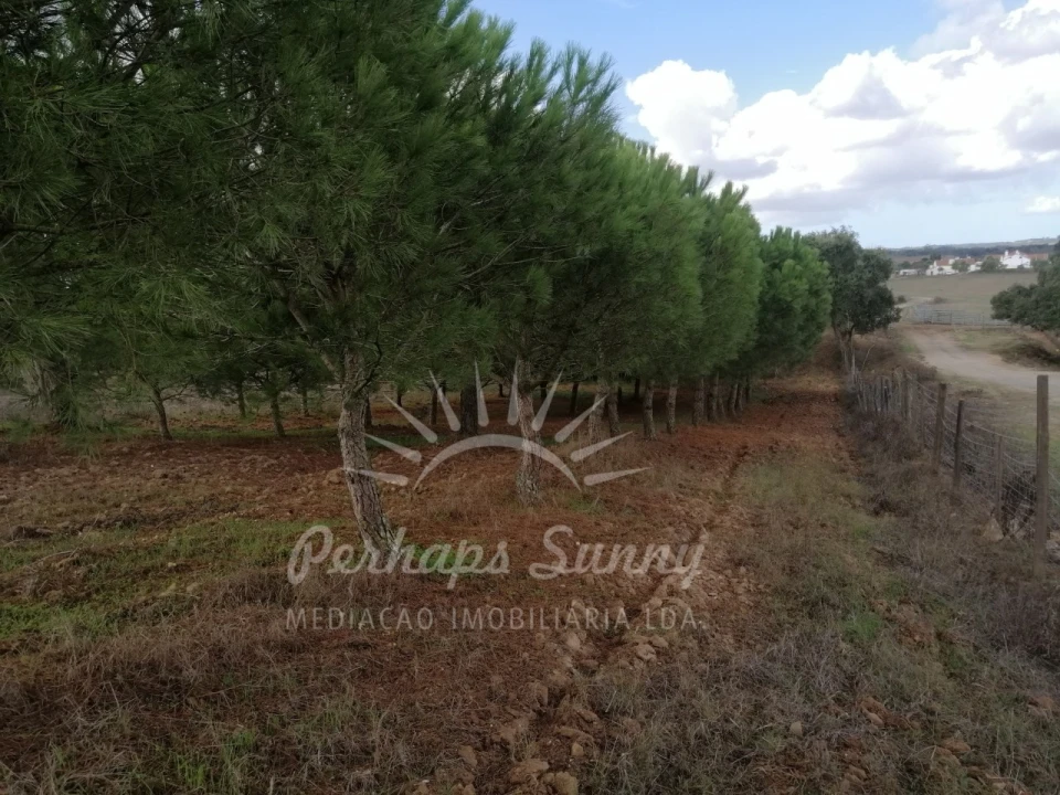 Terreno Misto para Venda em Santiago do Cacém, Santa Cruz e São Bartolomeu da Serra Foto 27