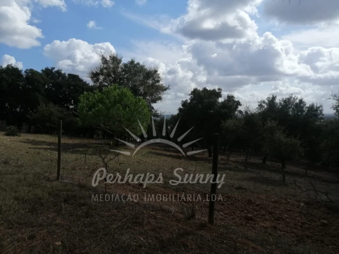Terreno Misto para Venda em Santiago do Cacém, Santa Cruz e São Bartolomeu da Serra Foto 17