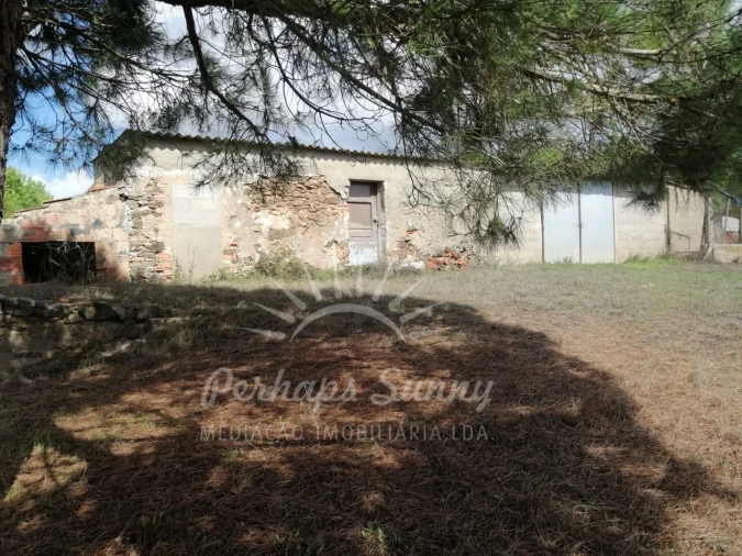 Terreno Misto para Venda em Santiago do Cacém, Santa Cruz e São Bartolomeu da Serra Foto 5