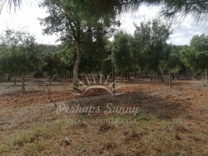Terreno Misto para Venda em Santiago do Cacém, Santa Cruz e São Bartolomeu da Serra Foto 18